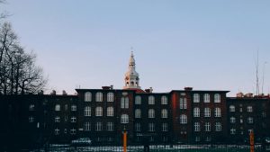 Katowice w Obiektywie: Od Bajek dla Dorosłych po Alergeny i Globalne Finanse