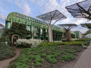 Zielone Świątki w Rejowcu Fabrycznym: Tradycja, natura i wspólne świętowanie